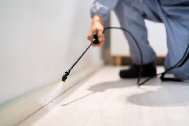 Licensed Termite Control service in Logan, UT - Nex Pest Control