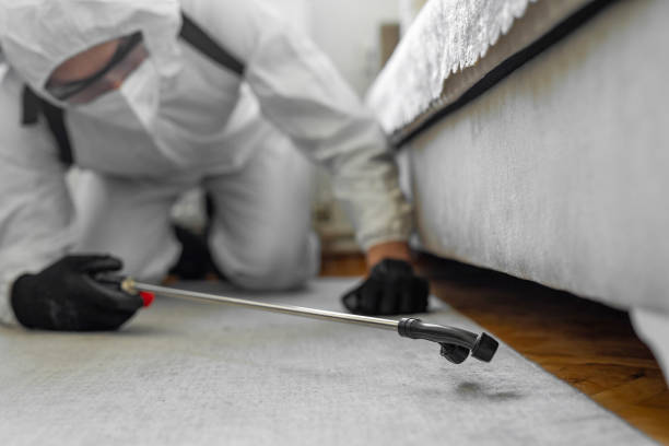 Professional Termite Control technician working in Logan, UT
