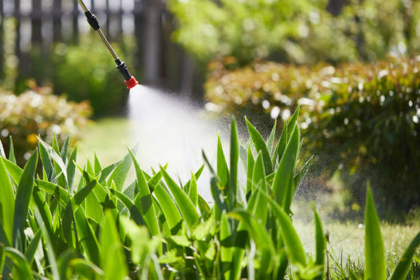 24/7 Emergency Termite Control experts in Logan, UT