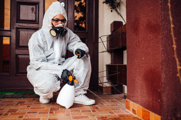 Reliable Termite Control contractor in Logan, UT by Nex Pest Control