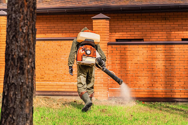Top rated local Termite Control specialists in Logan, UT